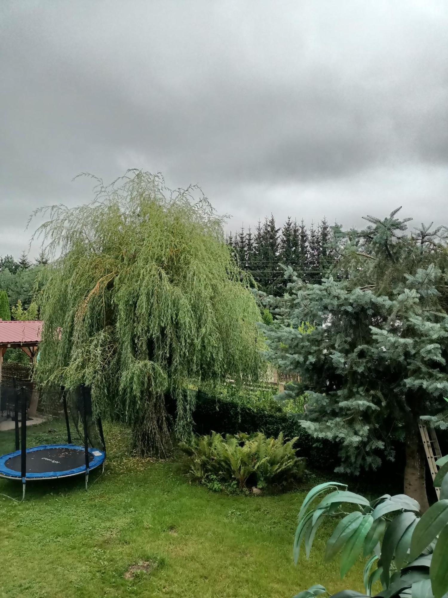 U Zbyszka Apartment Kamienna Gora Bilik gambar